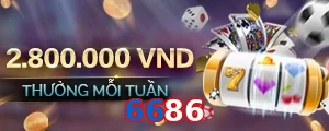 6686