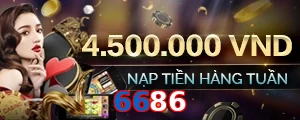 6686